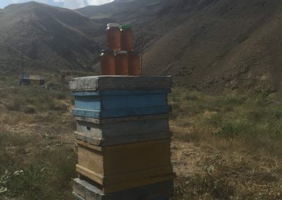 a helyi méz, és távolban a csúcs